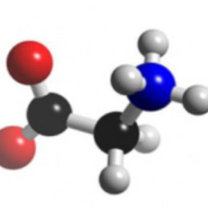 L-Carnitine Base