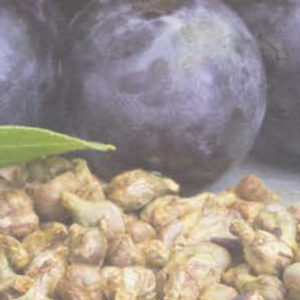 Grape Seed